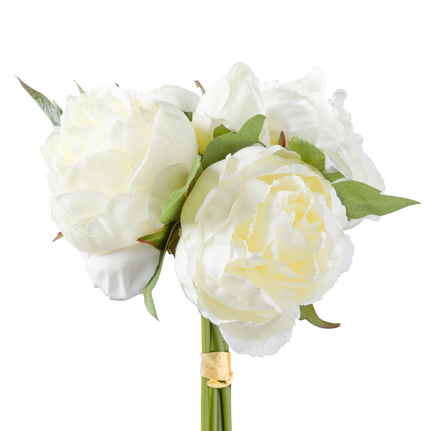 PEONY, BOUQUET - CREAM