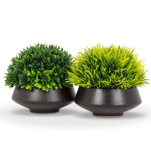 GRASSYPLANT, LOW POT - GREEN/BLACK