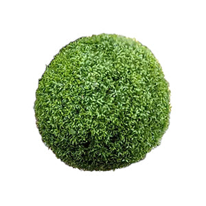 BOXWOOD SPHERE -  LARGE (16")