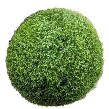 BOXWOOD SPHERE  - XL (23")