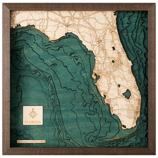 MAP, FRAMED - FLORIDA (S)