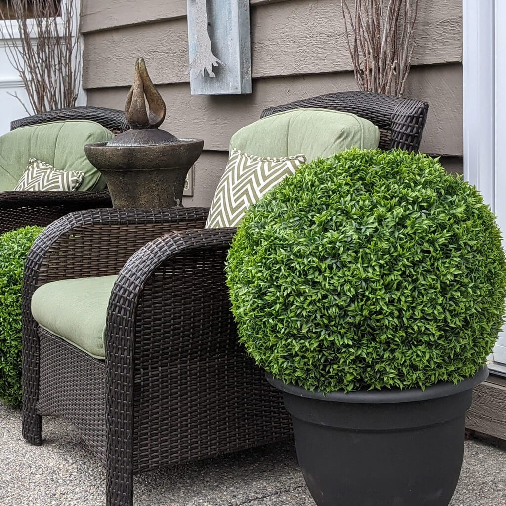 BOXWOOD SPHERE  - XL (23")