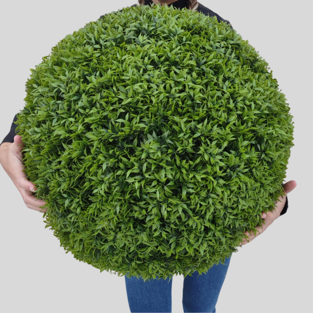 BOXWOOD SPHERE  - XL (23")